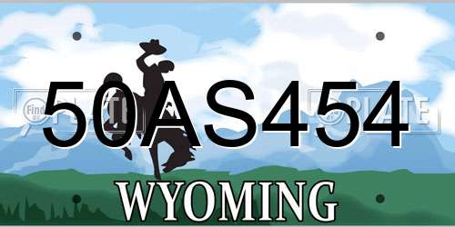 50AS454 Wyoming License Plate