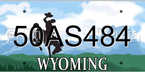 50AS484 Wyoming License Plate
