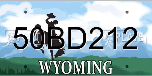 50BD212 Wyoming License Plate