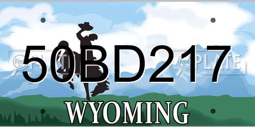 50BD217 Wyoming License Plate