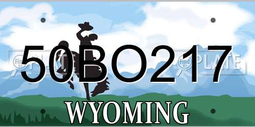 50BO217 Wyoming License Plate