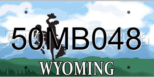 50MB048 Wyoming License Plate