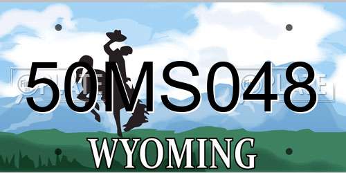 50MS048 Wyoming License Plate