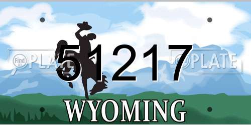 51217 Wyoming License Plate