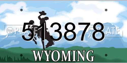 513878 Wyoming License Plate