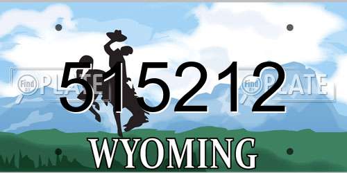 515212 Wyoming License Plate