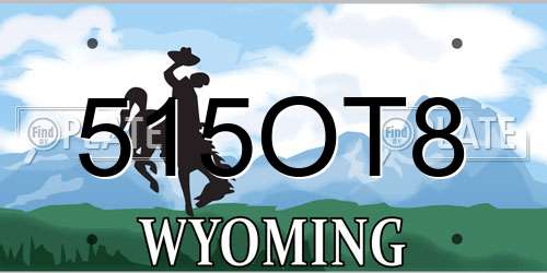 515OT8 Wyoming License Plate