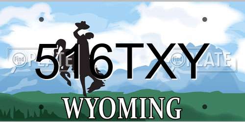 516TXY Wyoming License Plate