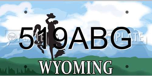 519ABG Wyoming License Plate