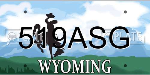 519ASG Wyoming License Plate
