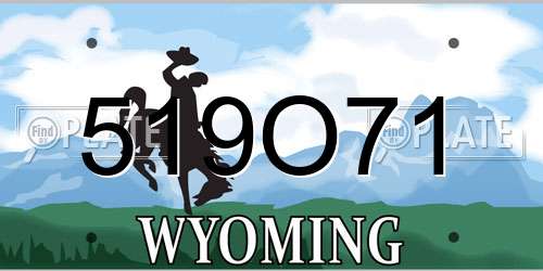 519O71 Wyoming License Plate