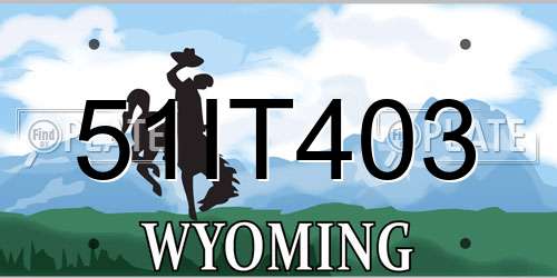 51IT403 Wyoming License Plate
