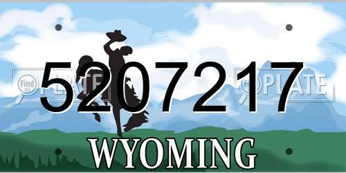 5207217 Wyoming License Plate