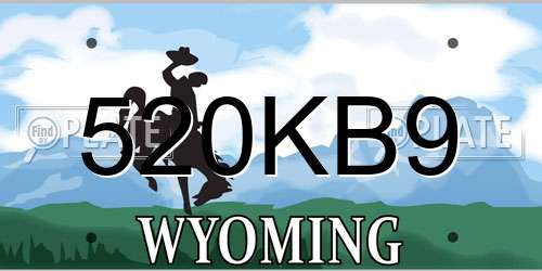520KB9 Wyoming License Plate