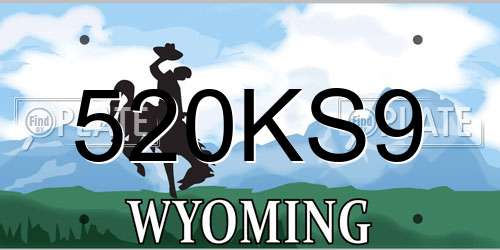 520KS9 Wyoming License Plate