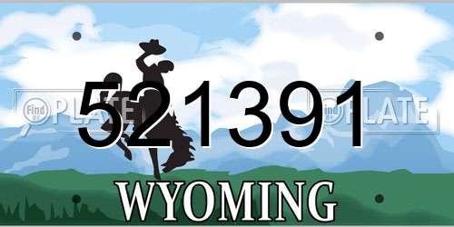 521391 Wyoming License Plate