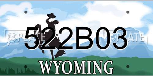522B03 Wyoming License Plate