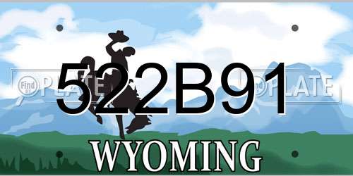 522B91 Wyoming License Plate