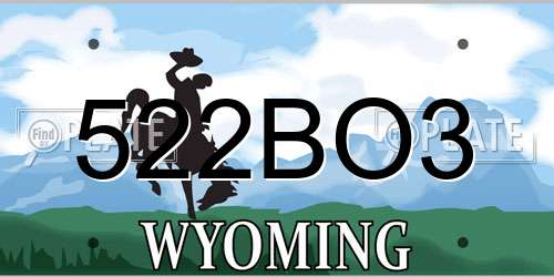 522BO3 Wyoming License Plate