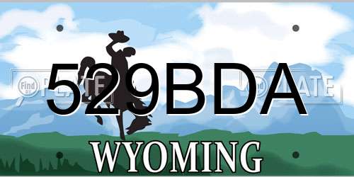 529BDA Wyoming License Plate