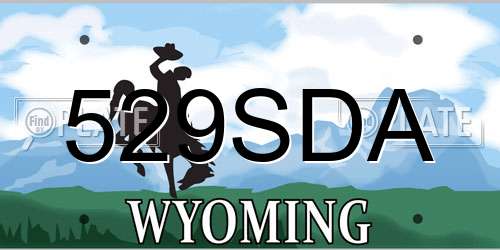 529SDA Wyoming License Plate
