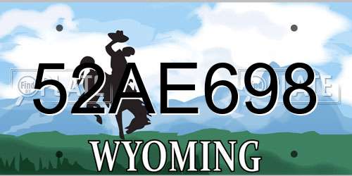 52AE698 Wyoming License Plate