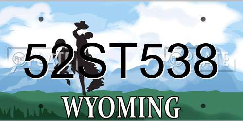 52ST538 Wyoming License Plate