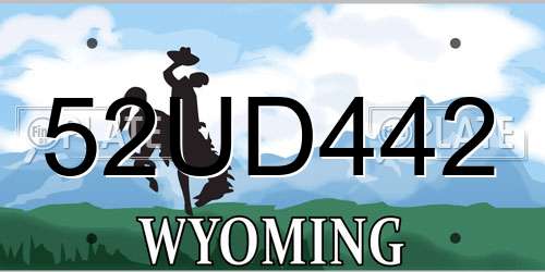52UD442 Wyoming License Plate