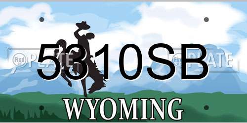 5310SB Wyoming License Plate