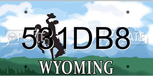 531DB8 Wyoming License Plate