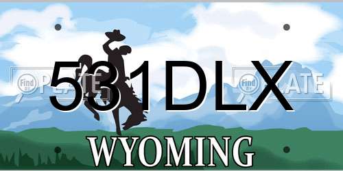 531DLX Wyoming License Plate