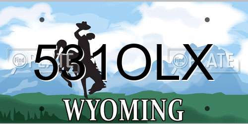 531OLX Wyoming License Plate