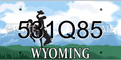 531Q85 Wyoming License Plate