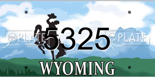 5325 Wyoming License Plate