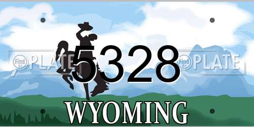 5328 Wyoming License Plate