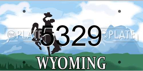 5329 Wyoming License Plate