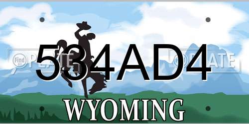 534AD4 Wyoming License Plate