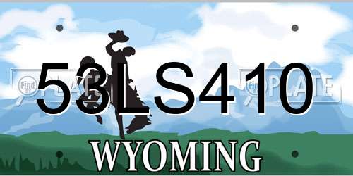 53LS410 Wyoming License Plate