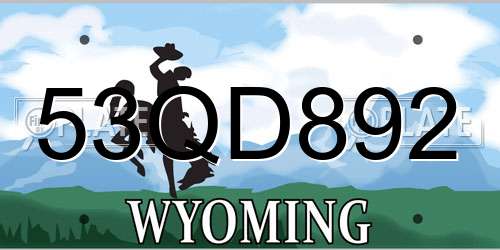 53QD892 Wyoming License Plate