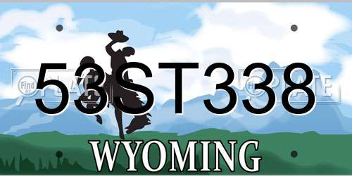53ST338 Wyoming License Plate