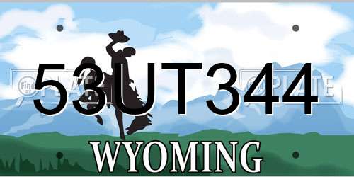 53UT344 Wyoming License Plate
