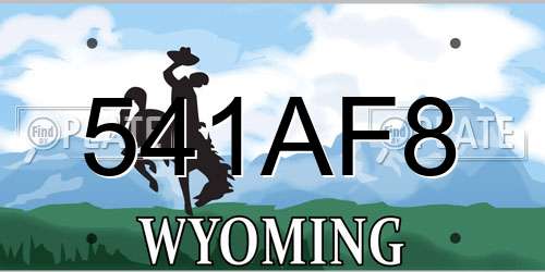 541AF8 Wyoming License Plate