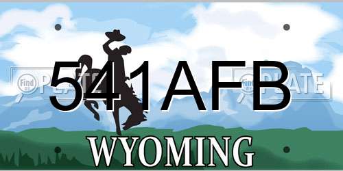 541AFB Wyoming License Plate