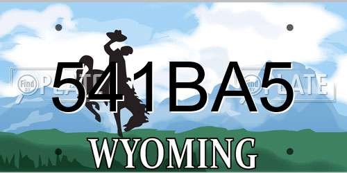 541BA5 Wyoming License Plate