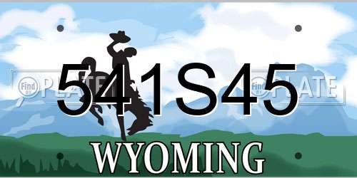 541S45 Wyoming License Plate