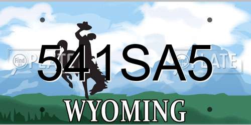 541SA5 Wyoming License Plate