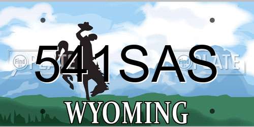541SAS Wyoming License Plate