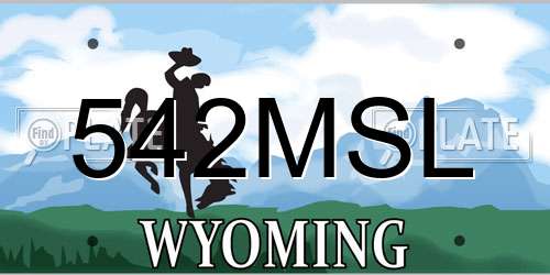 542MSL Wyoming License Plate