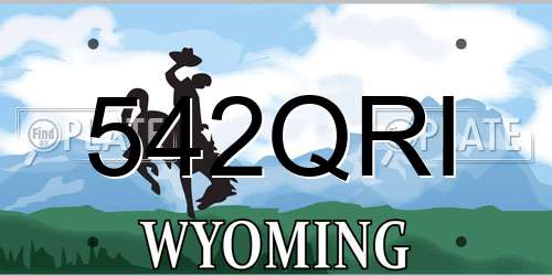 542QRI Wyoming License Plate