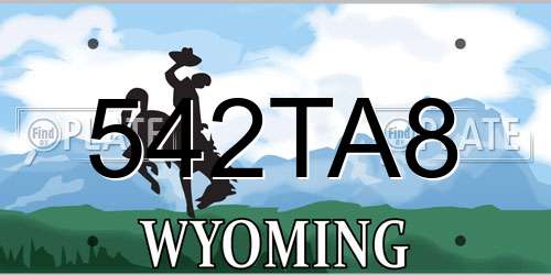 542TA8 Wyoming License Plate
